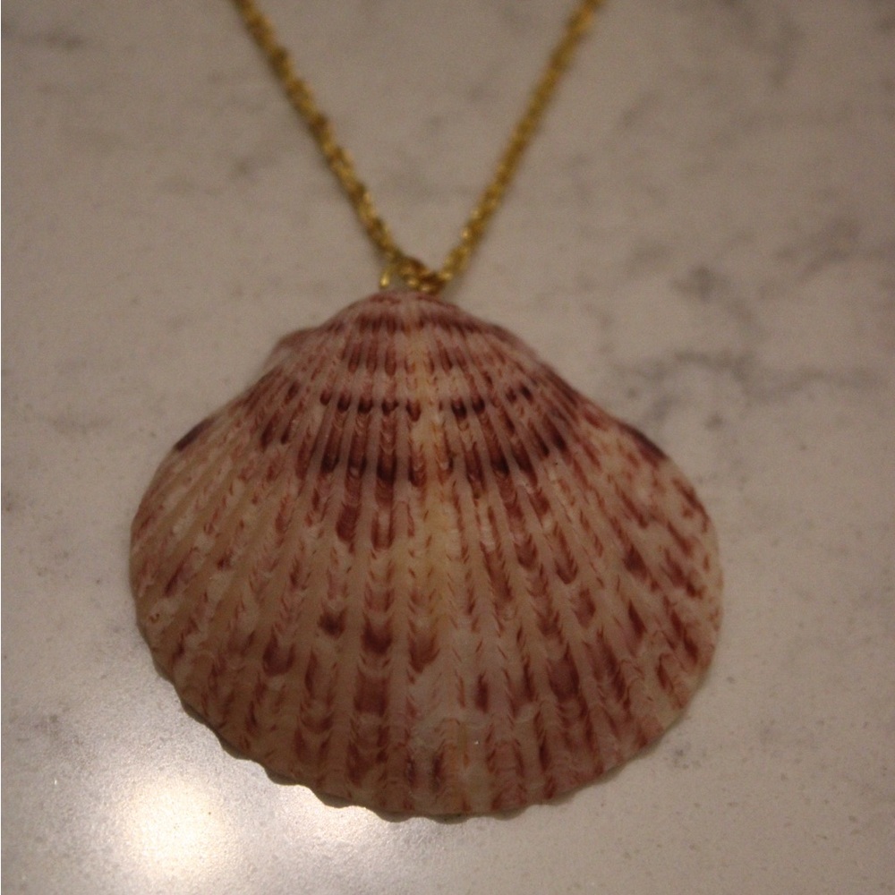 Calico Scallop Pendant With Gold Chain